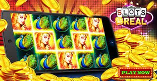 bdwin app